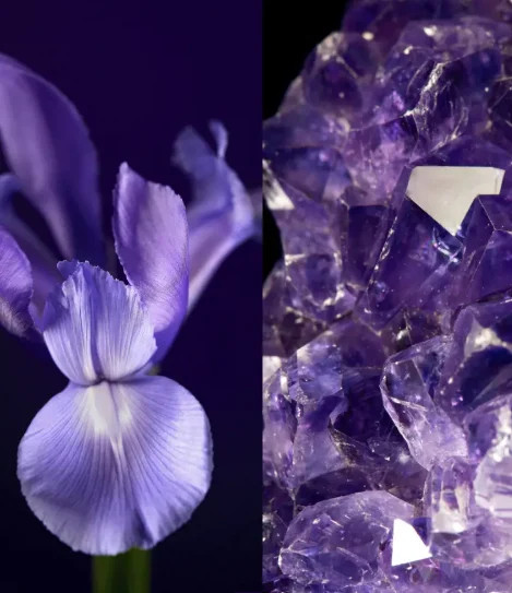 مزایای استفاده روزانه 1. سفتتر و جوانتر شدن پوست 2. کاهش خطوط ریز و چینوچروک 3. بهبود خاصیت ارتجاعی و قوام پوست 4. آبرسانی و جلوگیری از خشکی 5. محافظت روزانه در برابر نور خورشید و پیشگیری از لک